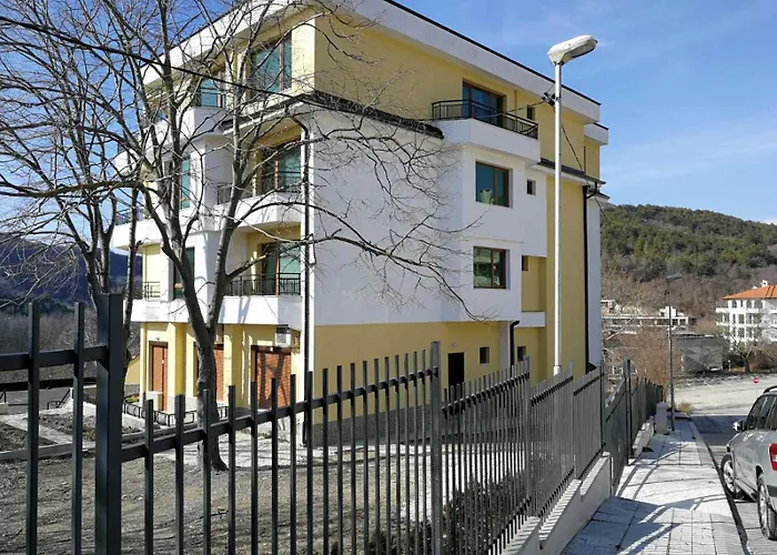 ваканционен делфин 10 Dolphin 10