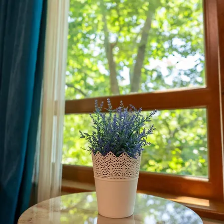 Appartement Delphin 10 Sea View *