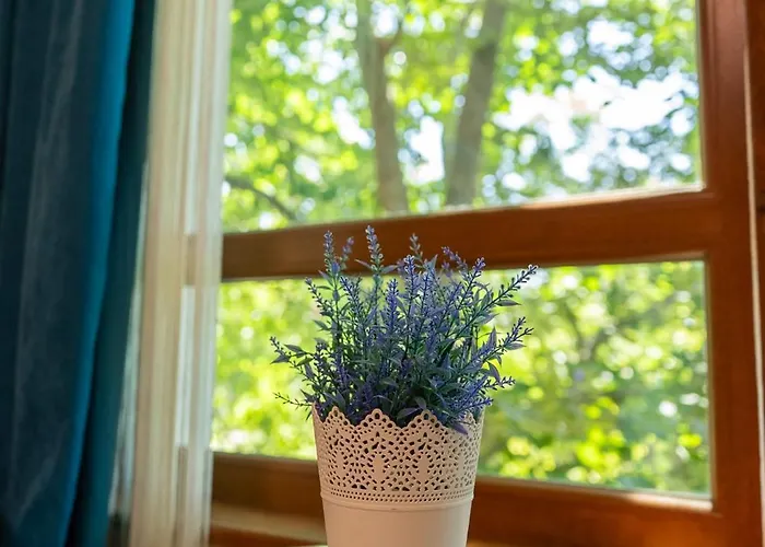 Appartement ваканционен делфин 10 Dolphin 10 *